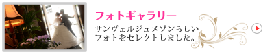 フォトギャラリー