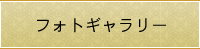 フォトギャラリー