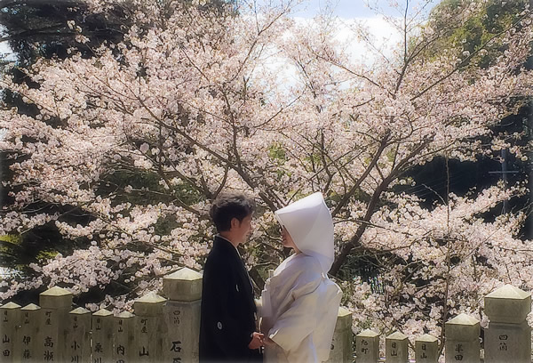 今日はたつのの神社で桜ウエディング 姫路結婚式 Com